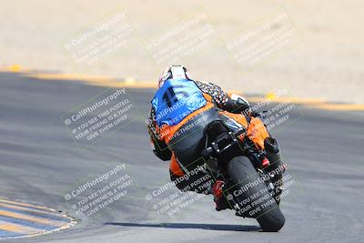 media/Mar-10-2024-SoCal Trackdays (Sun) [[6228d7c590]]/9-Turn 8 Backside (1150am)/